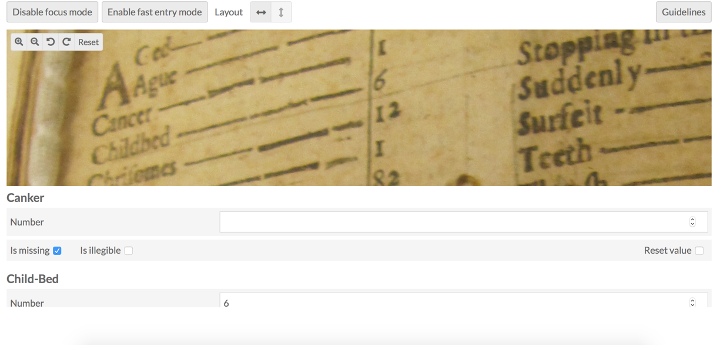 screenshot of datascribe interface showing extreme zoom on image